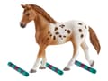 Miniatyrbild 1 av 5: Schleich Tournament training set & Appaloosa hors
