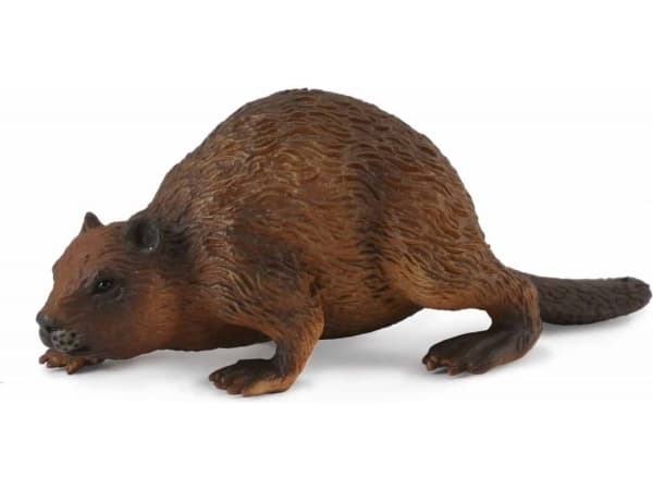 Figurka Collecta Bóbr (004-88382)