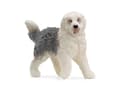 Miniatyrbilde 2 av 5: Schleich Old English Sheepdog