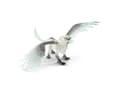 Miniatyrbild 3 av 5: Schleich Ice griffin