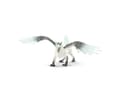 Miniatyrbild 2 av 5: Schleich Ice griffin
