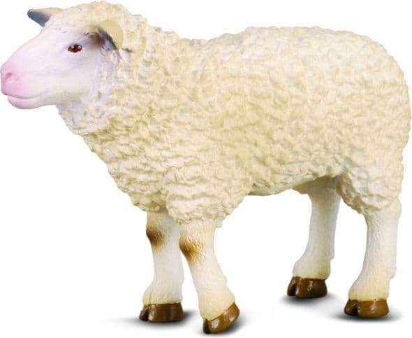 Figurka Collecta Collecta. Owca