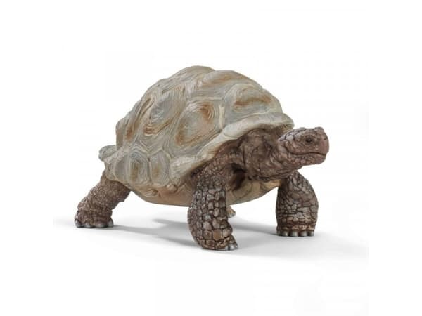 Schleich Wild Life - Giant tortoise