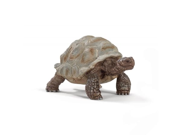 Schleich Wild Life - Giant tortoise