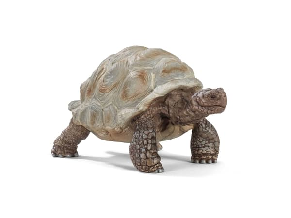 Schleich Wild Life - Giant tortoise