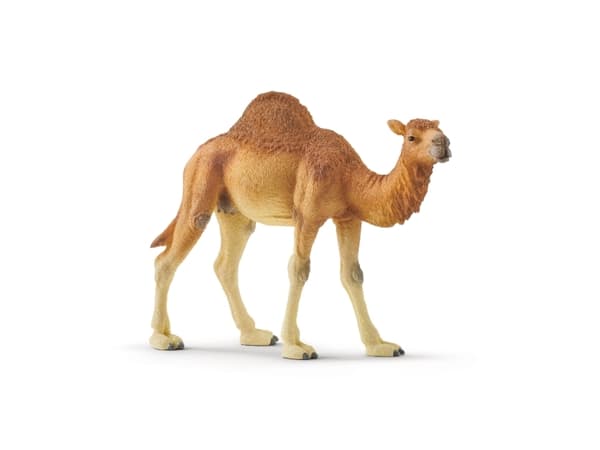 schleich Wild Life 14832, 3 vuosi/vuosia, Monivärinen, Muovi, 1 kpl
