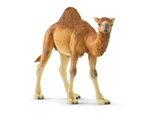 schleich Wild Life 14832, 3 vuosi/vuosia, Monivärinen, Muovi, 1 kpl