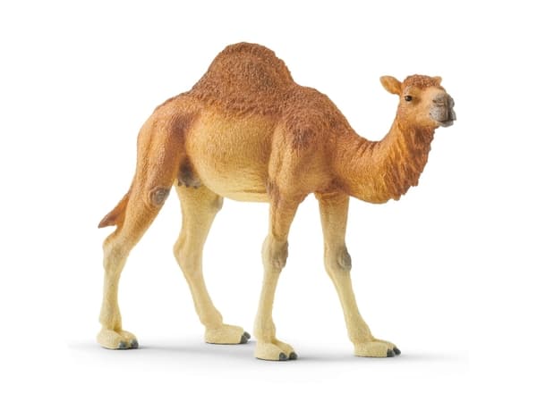 schleich Wild Life 14832, 3 vuosi/vuosia, Monivärinen, Muovi, 1 kpl