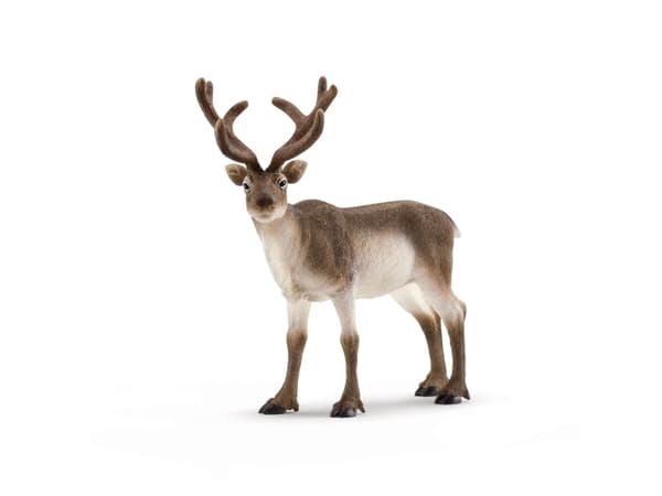 Schleich Wild Life 14837 Reinsdyr