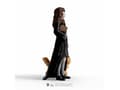 Miniatyrbilde 4 av 5: Schleich HP Hermione Granger & Crookshanks