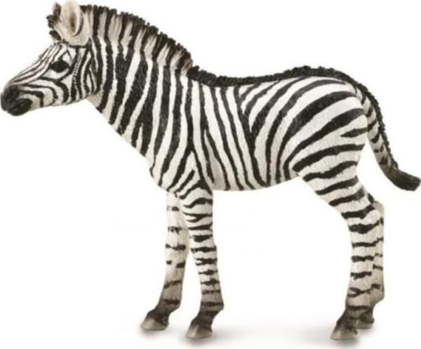 Collecta ZEBRA FOAL figurine