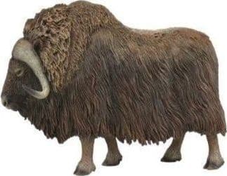 Figur Collecta ARCTIC MUSK OX