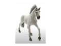 Miniatyrbilde 3 av 5: Schleich Sorraia Mustang Stallion