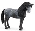 Pikkukuva 3 / 5: schleich Horse Club Pura Raza Española Mare, 5 vuosi/vuosia, Musta, Harmaa, 1 kpl