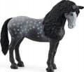 Pikkukuva 4 / 5: schleich Horse Club Pura Raza Española Mare, 5 vuosi/vuosia, Musta, Harmaa, 1 kpl