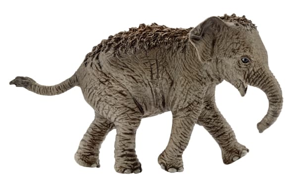 Schleich figurine Young Asian Elephant figurine (14755)