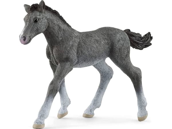 schleich Horse Club Trakehner-varsa, 5-vuotias, Grå