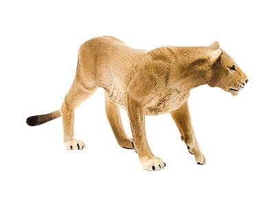 schleich WILD LIFE 14825, 3 vuosi/vuosia, Monivärinen, Muovi, 1 kpl