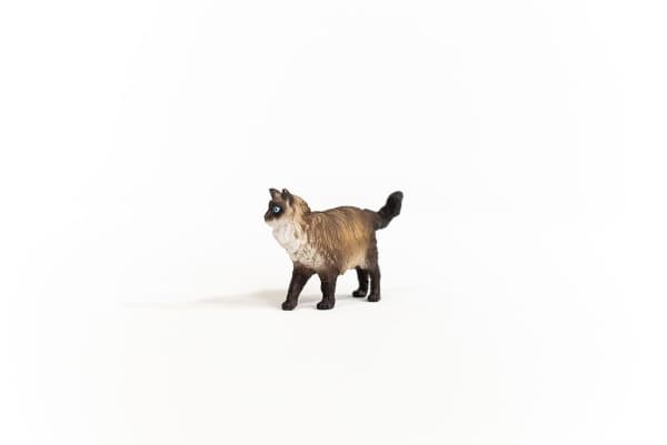 Schleich Ragdoll Cat