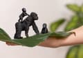 Miniatyrbilde 2 av 5: Schleich Gorilla Familie