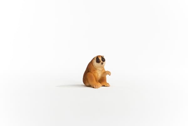 schleich WILD LIFE Slow Loris