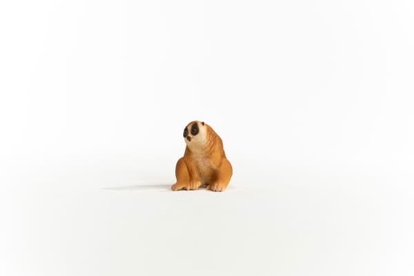 schleich WILD LIFE Slow Loris