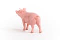 Miniatyrbilde 3 av 5: schleich Farm World Pig