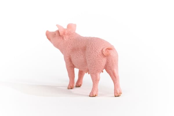 schleich Farm World Pig