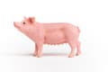 Miniatyrbilde 2 av 5: schleich Farm World Pig