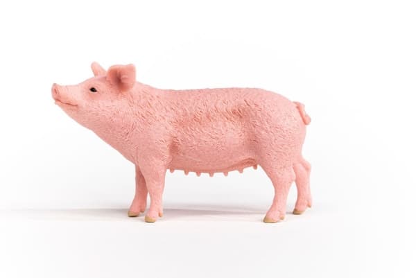 schleich Farm World Pig