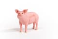 Miniatyrbilde 1 av 5: schleich Farm World Pig