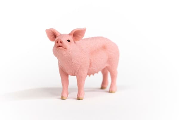 schleich Farm World Pig