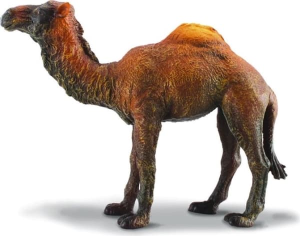Collecta enpuklet kamelfigur (004-88208)