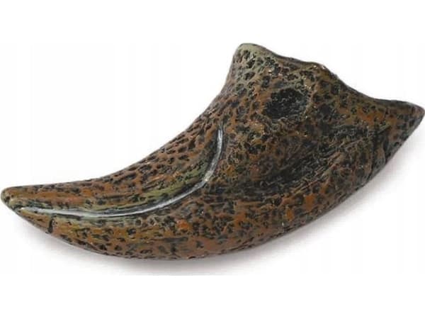 Figurka Collecta PAZUR TYRANOZAURA W PUDEŁKU - CollectA - 89280