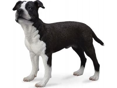 Figurka Collecta PIES AMERICAN STAFFORDSHIRE TERRIER