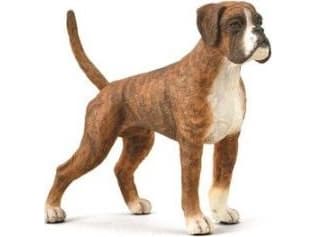 Collecta COLLECTA PIES BOXER figur
