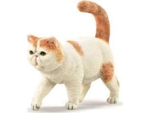 Collecta COLLECTA EGZOTIC KORTHÅRIG KATT figur