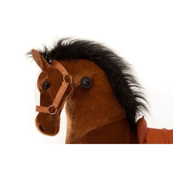 Animal Riding - Horse Amadeus - Medium/Large