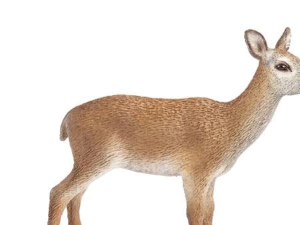 Schleich Wild Life 14630, Poika/tyttö, Ruskea, 1 kpl