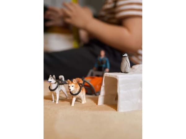 Schleich Antarctic Expedition
