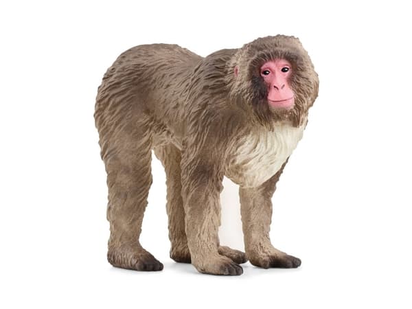 schleich WILD LIFE 14871, 3 år, Beige, Brun, Rosa