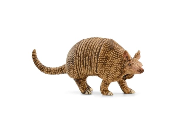 schleich WILD LIFE 14874, 3 År, Brun