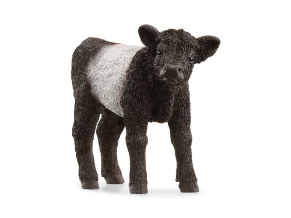Schleich Gallowayn vasikka