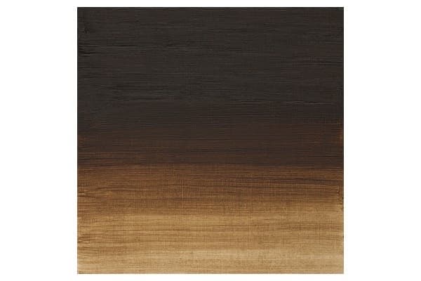 WINSOR Artists oil colour 200ml raw umber 554