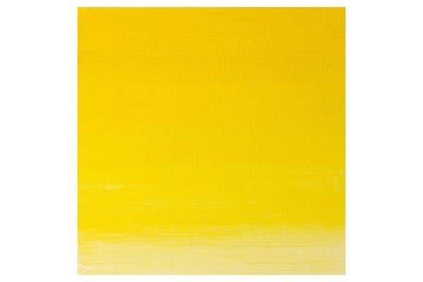 WINSOR Artists oil colour 200ml winsor yellow 730