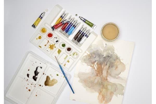 WINSOR Cotman watercolour set 10 tubes (13pcs)
