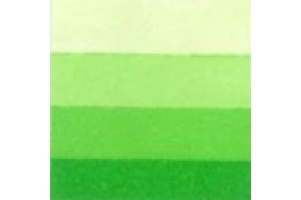 LB Charbonnel Charbo Etchink Ink 200Ml Spring Green 544