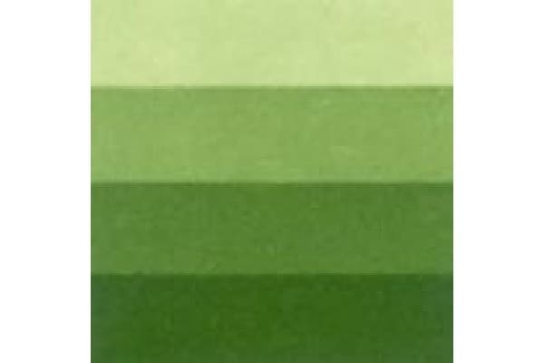 LB Charbonnel Charbo Etchink Ink 200Ml Medium Green 561