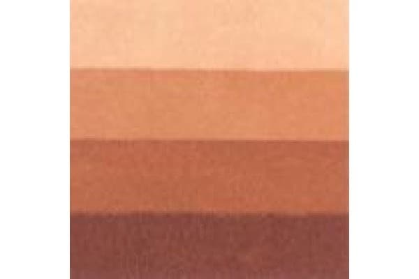 LB Charbonnel Charbo Etchink Ink 200Ml Burnt Sienna 481
