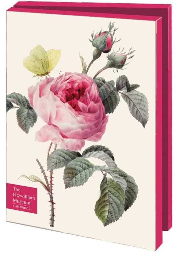 Vykort Dobbelt med konvolutt Roser i blomst 10-pack Bekking & Blitz